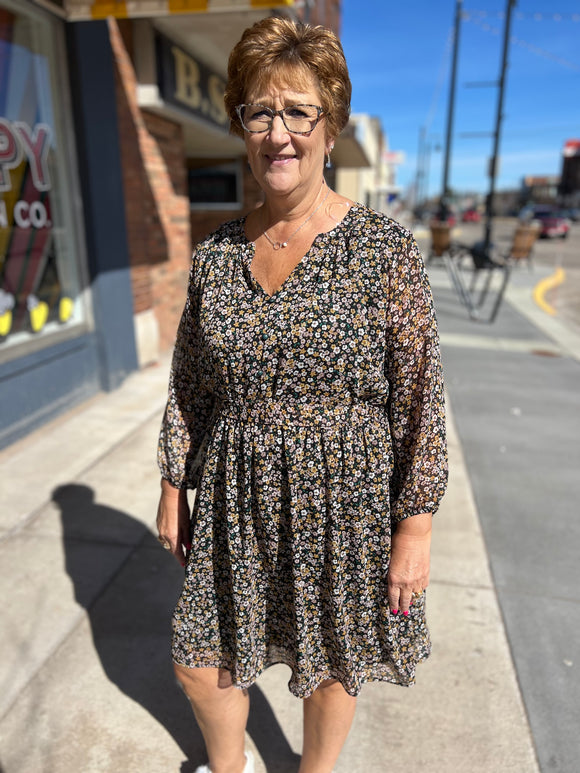 Long Sleeve V Neck Shirring Button Down Dress